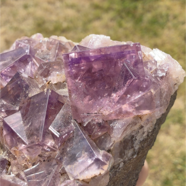 Frazer's Hush Fluorite