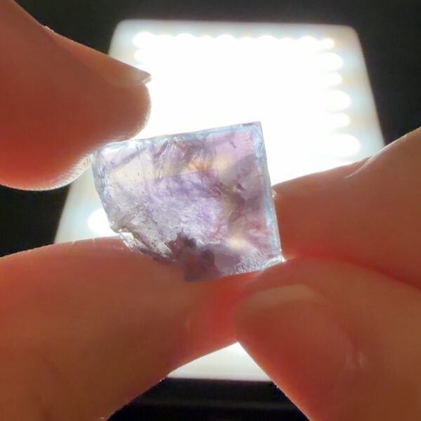 Altier Fluorite