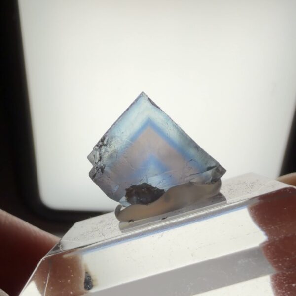 Trébas Fluorite
