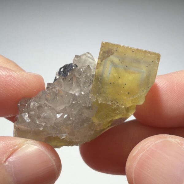 Langeac Fluorite, Quartz & Galena
