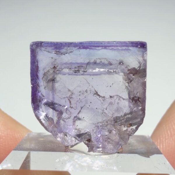 Ojuela Mine Fluorite