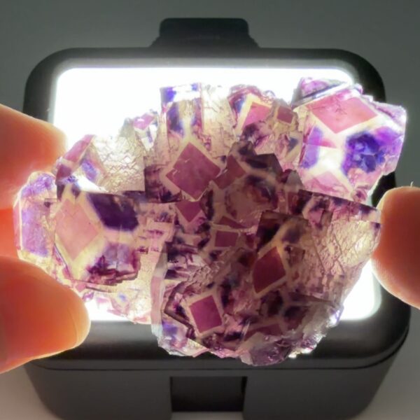 Polish Prodigy Pocket Fluorite