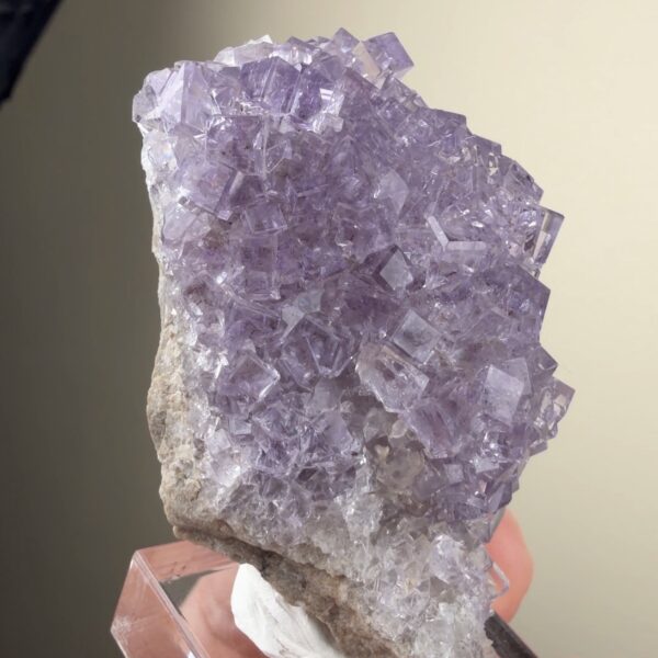 Llamas Quarry Fluorite